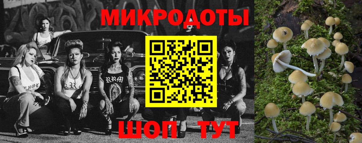 Псилоцибиновые грибы Magic Shrooms  Вход с VPN  Лесной 